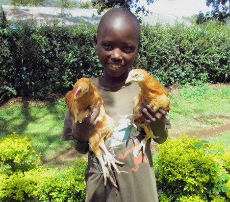 Child Holding Chickens